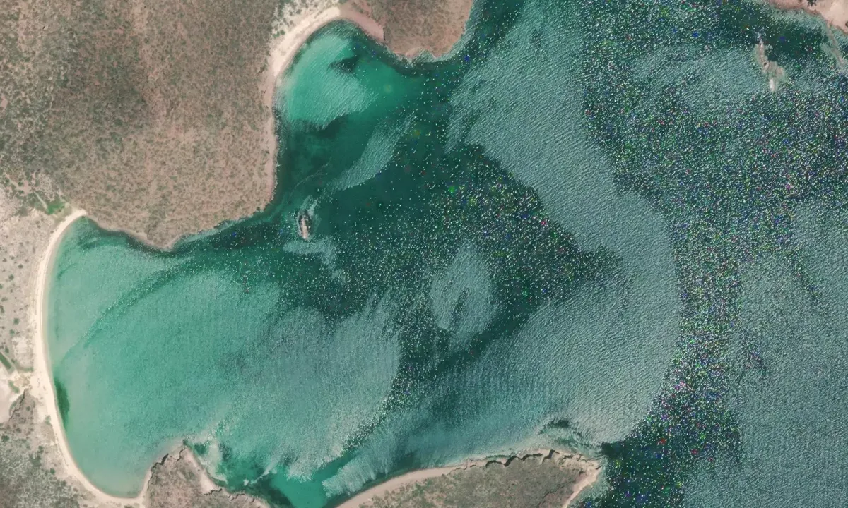 Satelite image of Catalina Cove