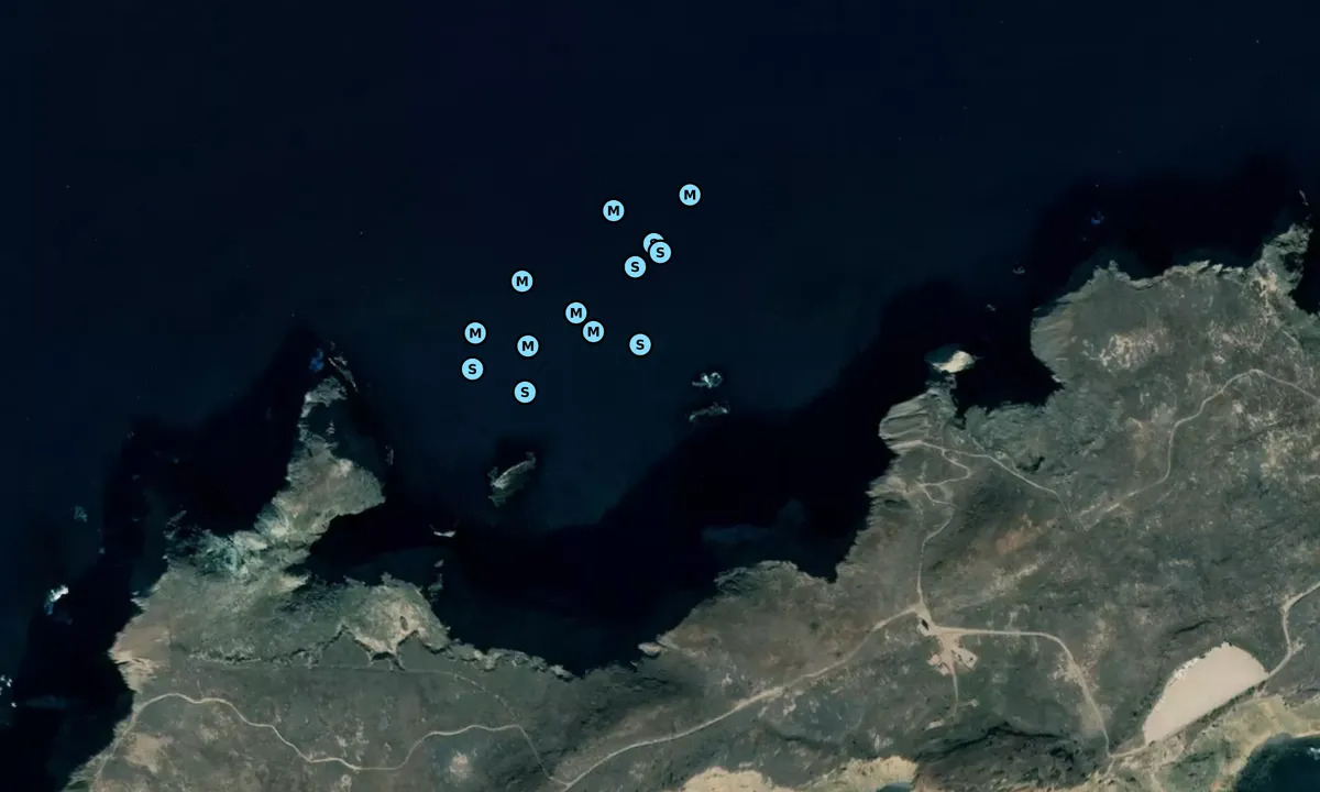 Satelite image of Cathedral Cove