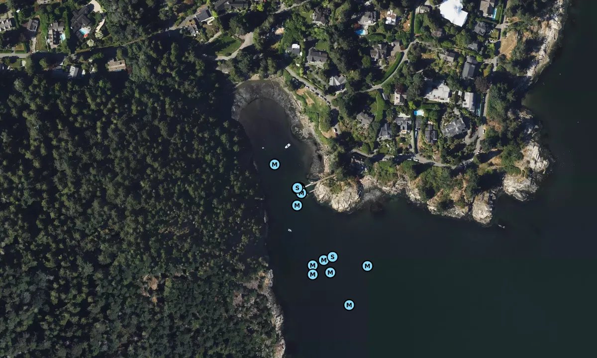 Satelite image of Caulfield Cove