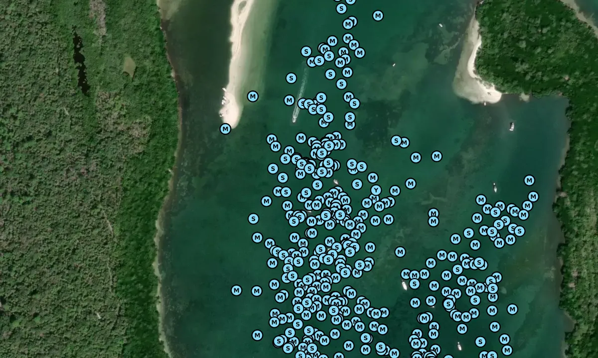 Satelite image of Cayo Costa State Park