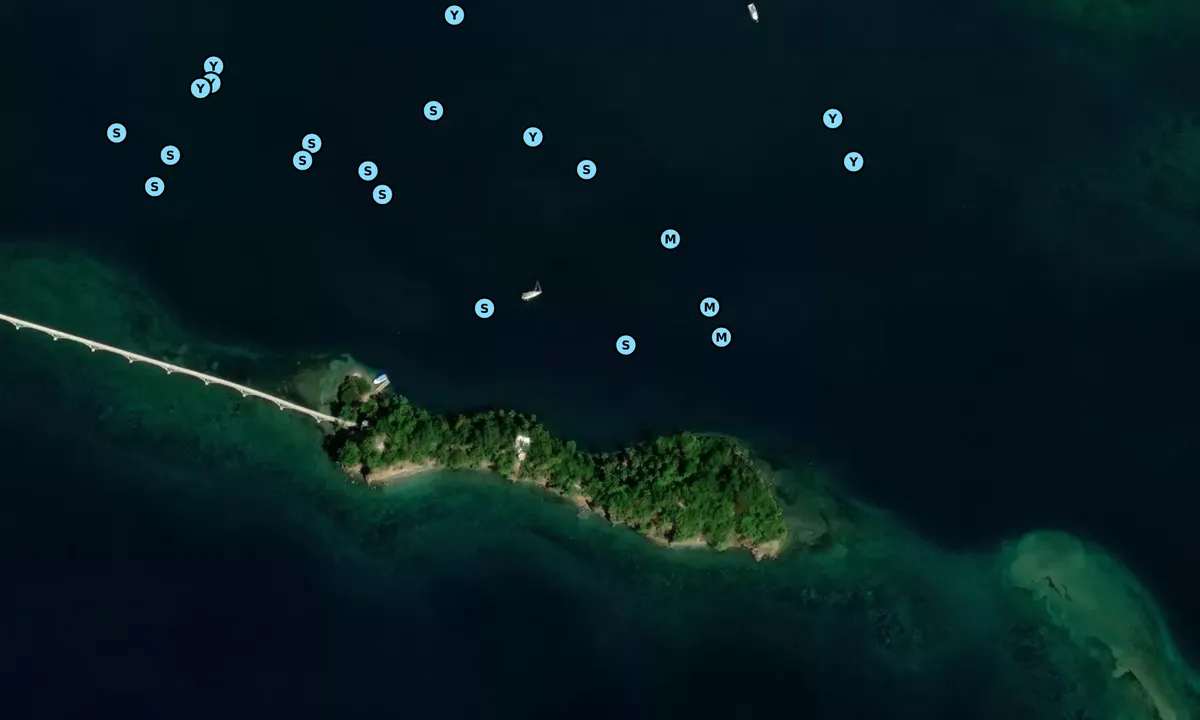 Satelite image of Cayo Vigia N