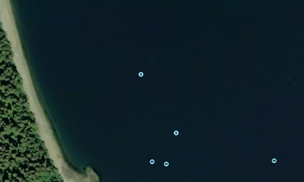 Satelite image of Cedar Cove