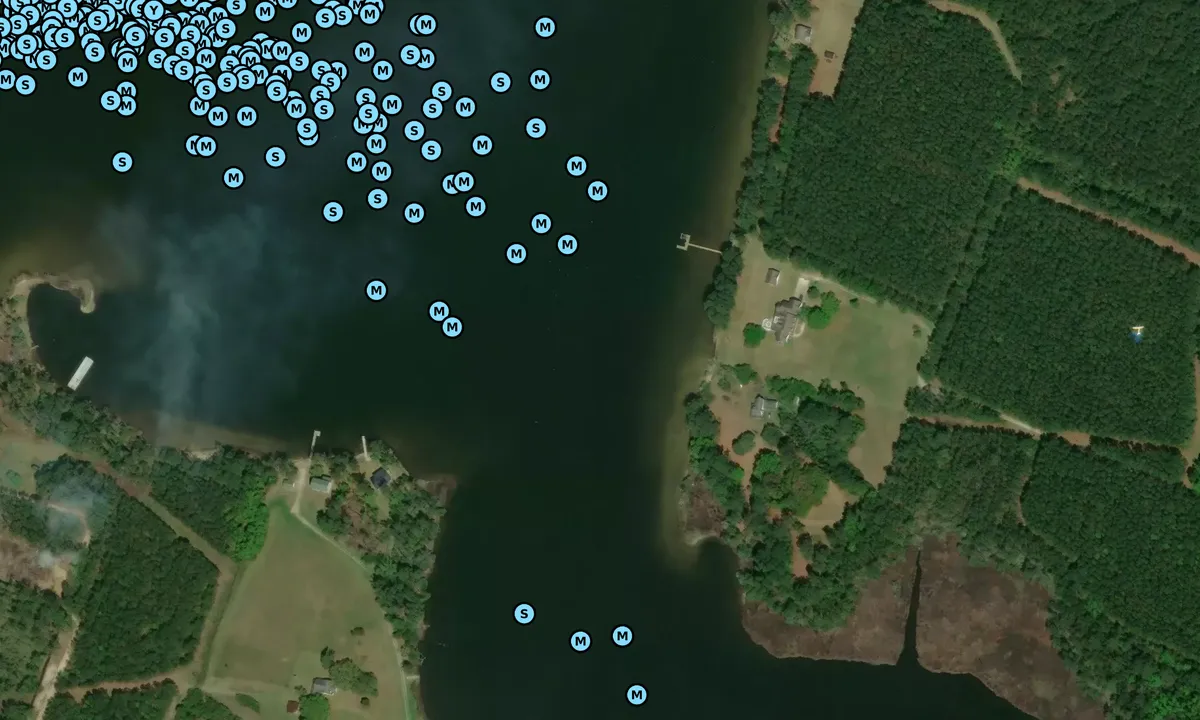 Satelite image of Cedar Creek closer to trees