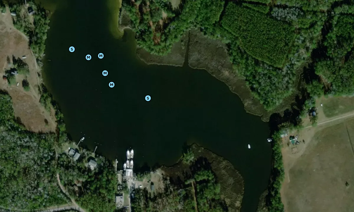 Satelite image of Cedar Creek Pocket