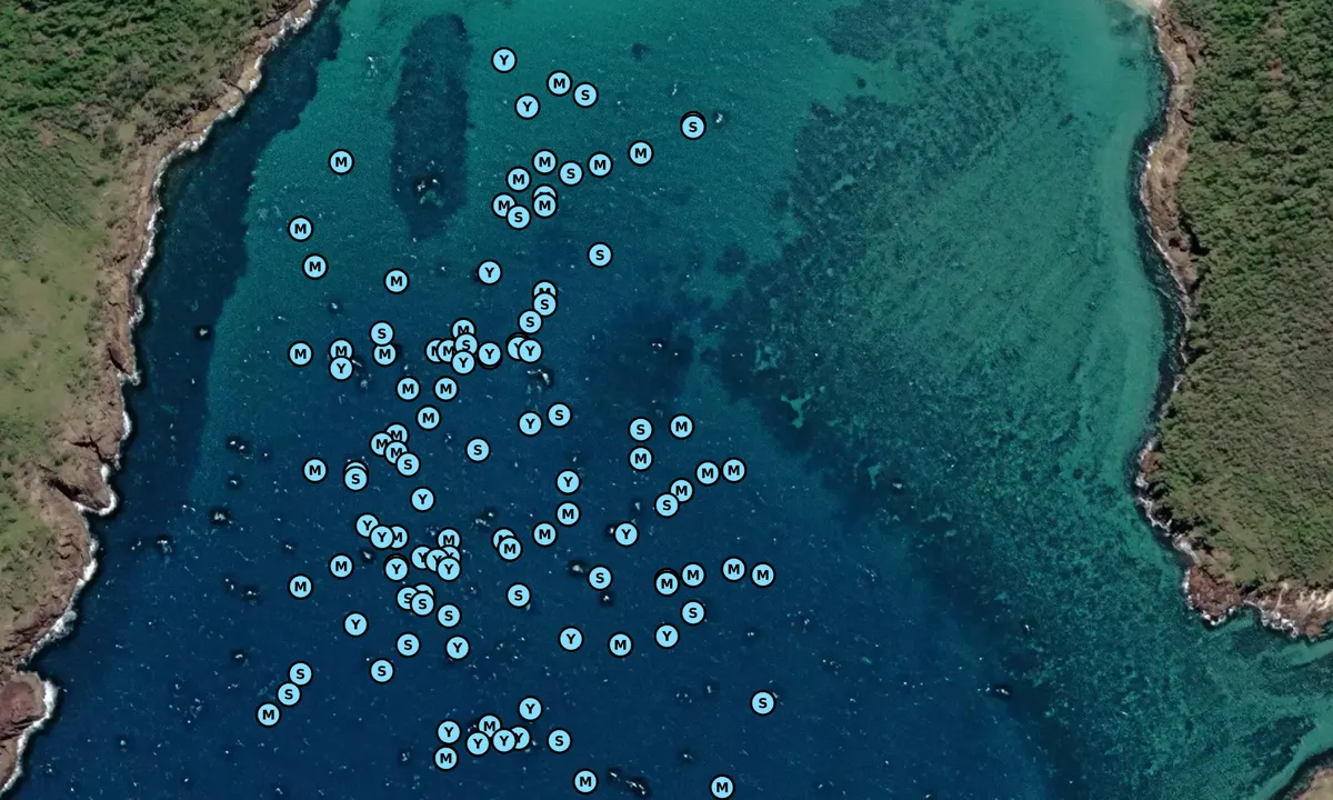 Satelite image of Chance Bay