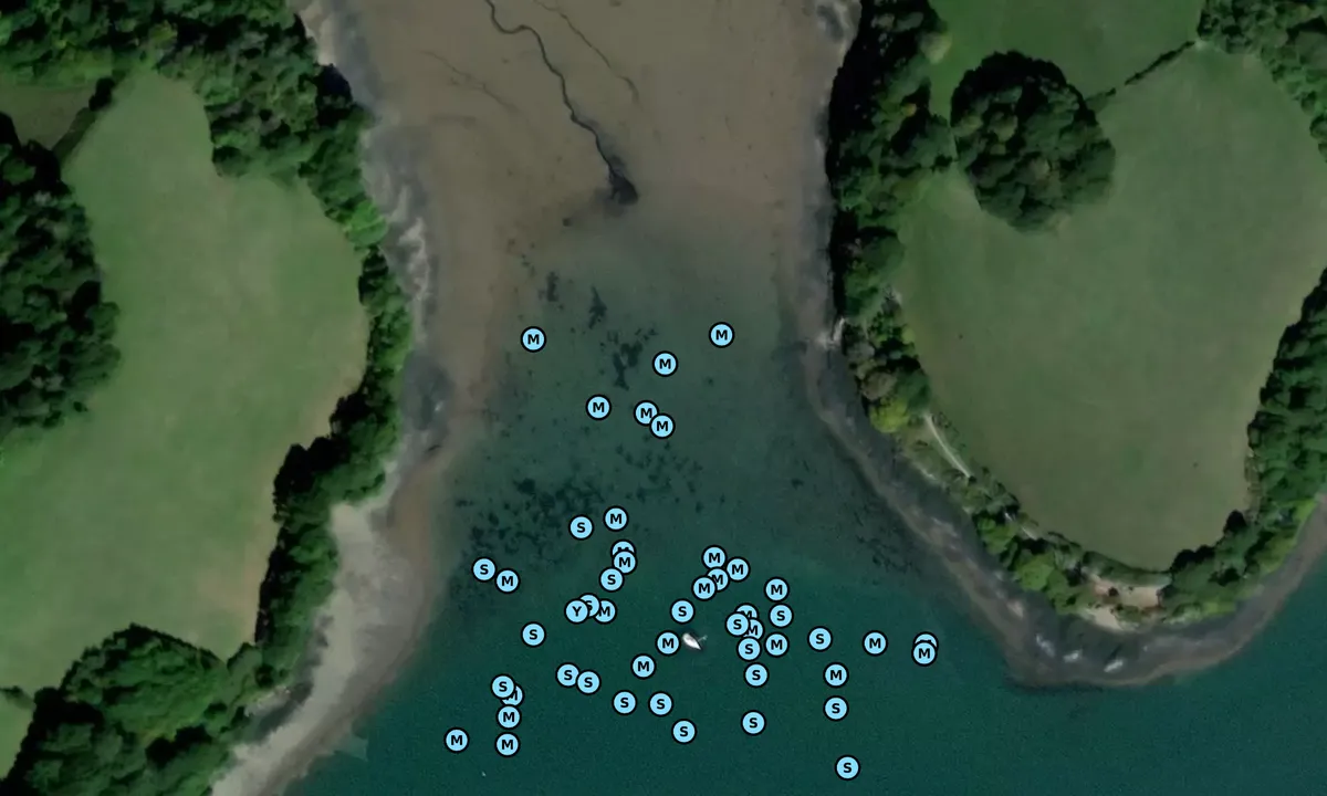 Satelite image of Channals Creek