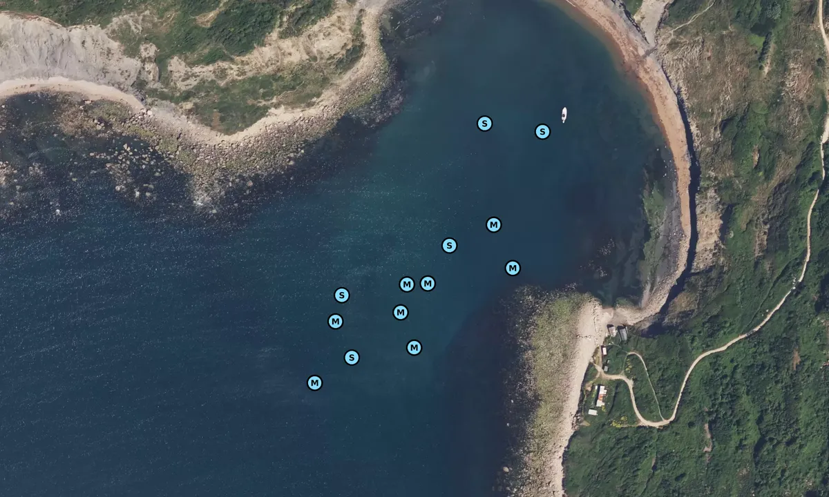 Satelite image of Chapmans Pool