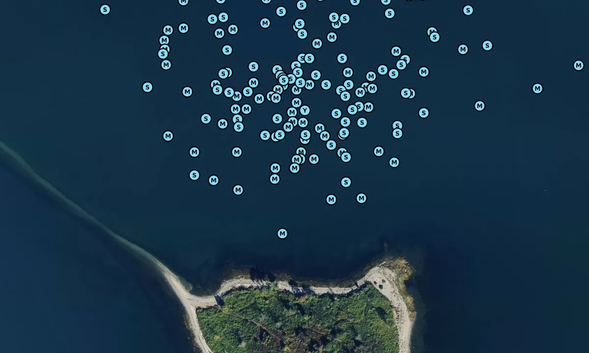 Satelite image of Charles Island - Milford