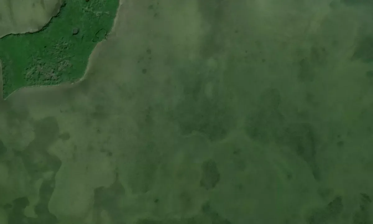 Satelite image of Chassahowitzka Hole #2  
