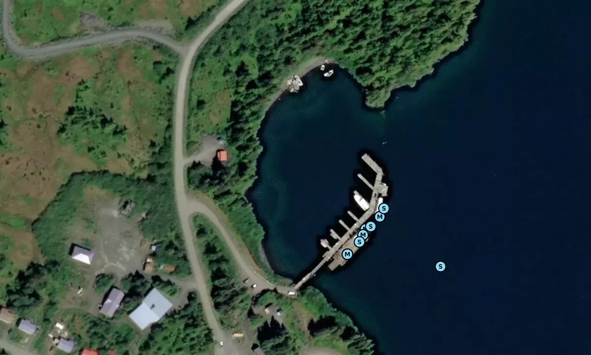 Satelite image of Chenega Village Marina