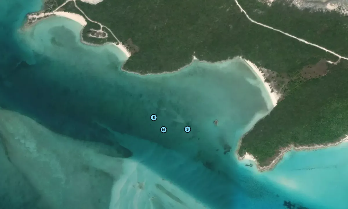 Satelite image of Children's Bay Cay (2)