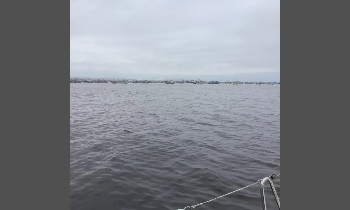 Chimbote: {"base": "no", "no": "Fiskeri havn tatt fra der jeg ligger for anker", "se": "Fiskerihamn tagen fr\u00e5n d\u00e4r jag ligger f\u00f6r ankar", "en": "Fishing harbour taken from where I am anchored", "da": "Fiskerihavn taget fra hvor jeg ligger for anker", "fr": "Port de p\u00eache pris depuis l'endroit o\u00f9 je suis ancr\u00e9", "de": "Fischereihafen genommen von dort, wo ich vor Anker liege", "es": "Puerto pesquero visto desde donde estoy anclado", "it": "Porto di pesca visto da dove sono ancorato", "pt": "Porto de pesca visto de onde estou ancorado", "nl": "Visserijhaven genomen van waar ik voor anker lig", "pl": "Port rybacki widziany z miejsca, w kt\u00f3rym jestem zakotwiczony", "uk": "\u0420\u0438\u0431\u0430\u043b\u044c\u0441\u044c\u043a\u0430 \u0433\u0430\u0432\u0430\u043d\u044c, \u0437\u043d\u044f\u0442\u0430 \u0437 \u0442\u043e\u0433\u043e \u043c\u0456\u0441\u0446\u044f, \u0434\u0435 \u044f \u0441\u0442\u043e\u044e \u043d\u0430 \u044f\u043a\u043e\u0440\u0456", "ro": "Port pesc\u0103resc v\u0103zut de unde sunt ancorat", "tr": "Demirli oldu\u011fum yerden al\u0131nan bal\u0131k\u00e7\u0131 liman\u0131", "el": "\u0391\u03bb\u03b9\u03b5\u03c5\u03c4\u03b9\u03ba\u03cc \u03bb\u03b9\u03bc\u03ac\u03bd\u03b9 \u03b1\u03c0\u03cc \u03c4\u03bf \u03c3\u03b7\u03bc\u03b5\u03af\u03bf \u03c0\u03bf\u03c5 \u03b5\u03af\u03bc\u03b1\u03b9 \u03b1\u03b3\u03ba\u03c5\u03c1\u03bf\u03b2\u03bf\u03bb\u03b7\u03bc\u03ad\u03bd\u03bf\u03c2", "cs": "Ryb\u00e1\u0159sk\u00fd p\u0159\u00edstav, jak je vid\u011bt ze m\u00e9 kotvy", "hu": "Hal\u00e1szkik\u00f6t\u0151, ahol lehorgonyoztam", "fi": "Kalastussatama otettu siit\u00e4, miss\u00e4 min\u00e4 olen ankkurissa", "bg": "\u0420\u0438\u0431\u043e\u043b\u043e\u0432\u043d\u043e \u043f\u0440\u0438\u0441\u0442\u0430\u043d\u0438\u0449\u0435, \u0437\u0430\u0441\u043d\u0435\u0442\u043e \u043e\u0442 \u043c\u044f\u0441\u0442\u043e\u0442\u043e, \u043a\u044a\u0434\u0435\u0442\u043e \u0441\u044a\u043c \u0445\u0432\u044a\u0440\u043b\u0438\u043b \u043a\u043e\u0442\u0432\u0430", "sr": "\u0420\u0438\u0431\u0430\u0440\u0441\u043a\u0430 \u043b\u0443\u043a\u0430 \u0432\u0438\u0452\u0435\u043d\u0430 \u0441\u0430 \u043c\u0435\u0441\u0442\u0430 \u0433\u0434\u0435 \u0441\u0430\u043c \u0443\u0441\u0438\u0434\u0440\u0435\u043d", "et": "Kalap\u00fc\u00fcgisadam, vaadatuna minu ankrukohalt", "lv": "Zvejas osta no turienes, kur es esmu noenkurojies", "lt": "\u017dvejybinis uostas paimtas i\u0161 vietos, kur a\u0161 esu ant inkaro"}