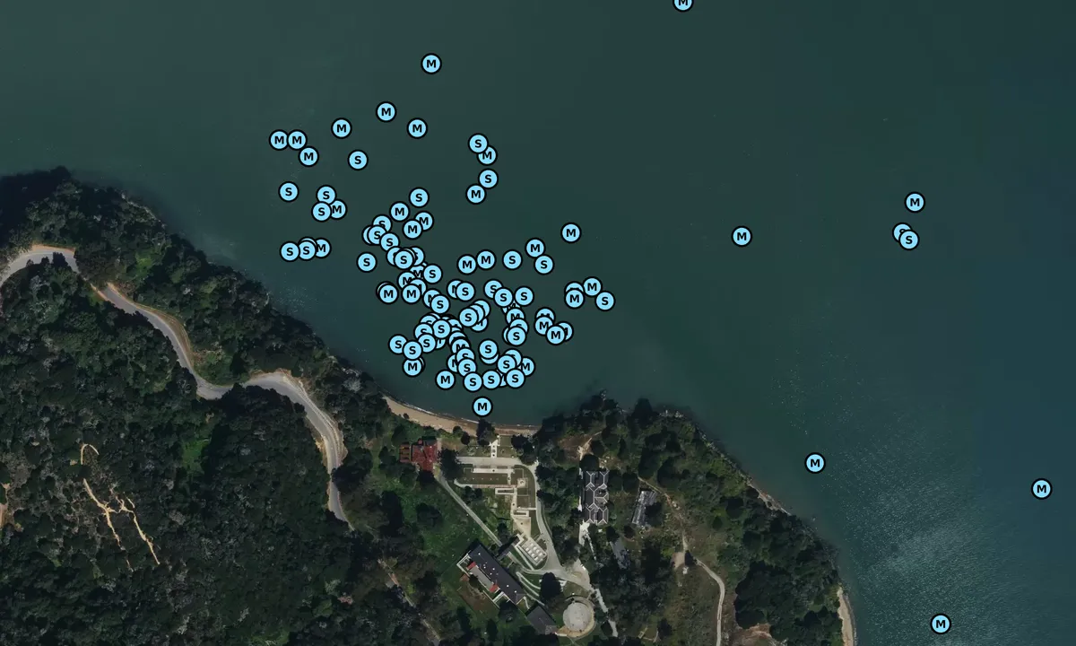 Satelite image of China Cove