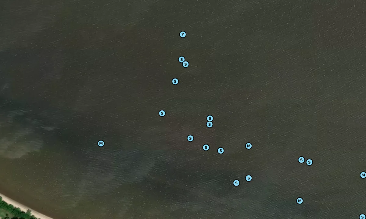 Satelite image of Chippokes Plantation State Park