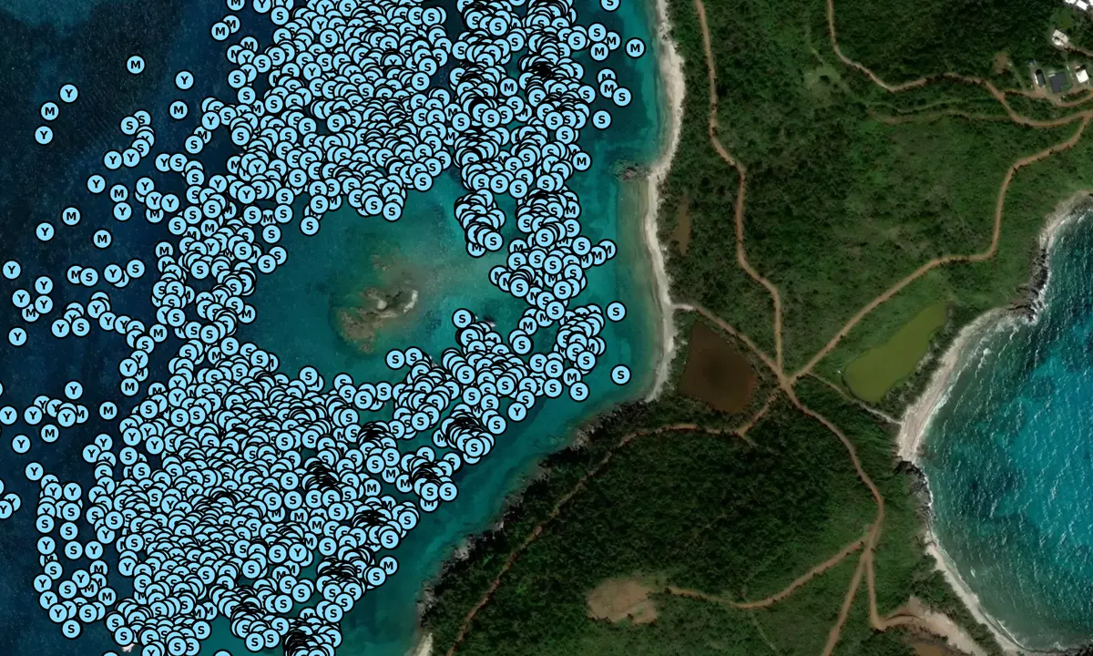 Satelite image of Christmas Cove - Southside