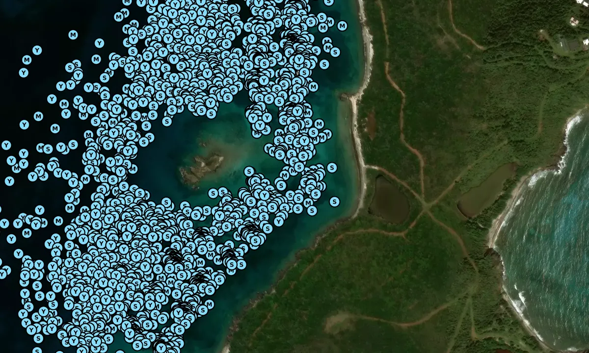 Satelite image of Christmas Cove - Southside