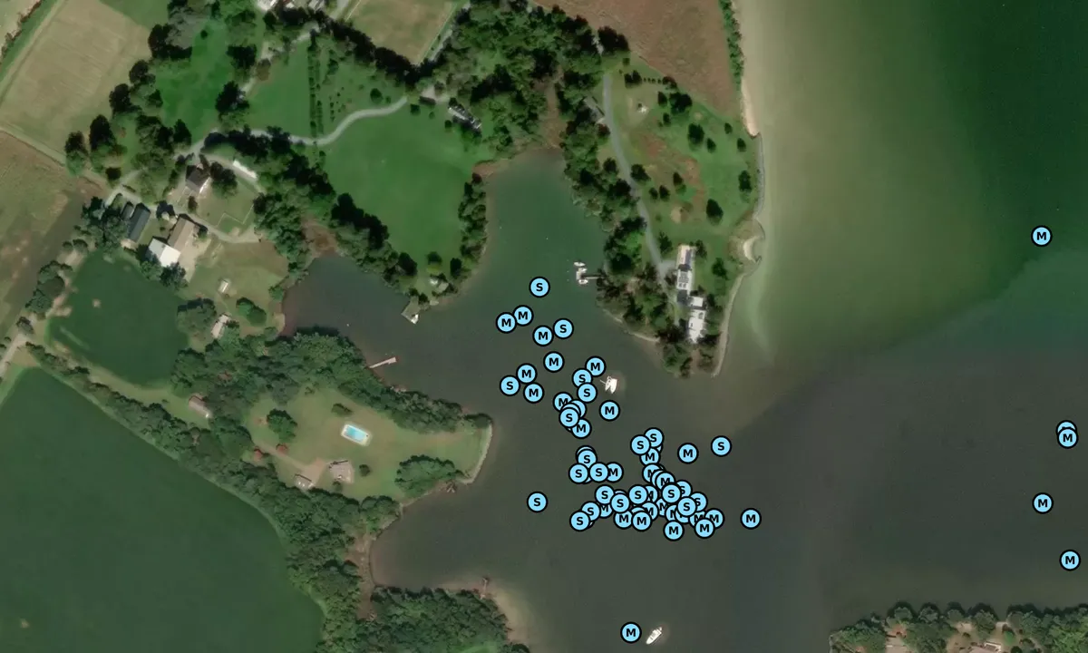 Satelite image of Claiborne - McDaniel