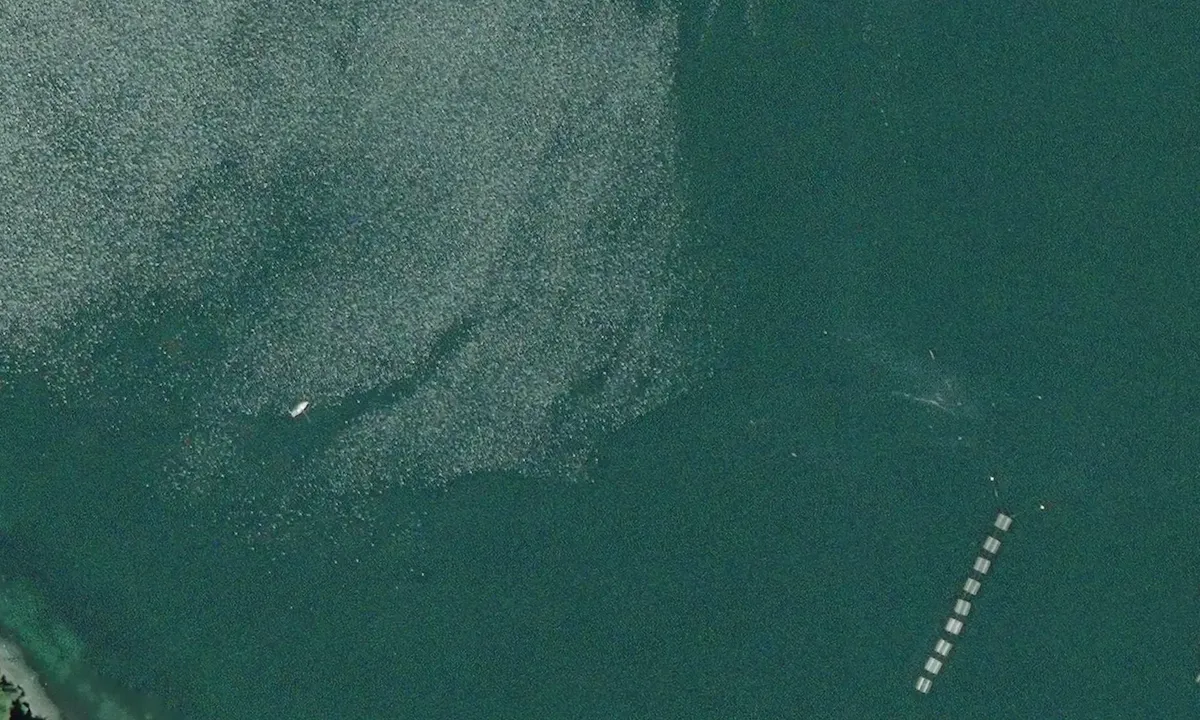 Flyfoto av Clam Bay - Penelakut Island