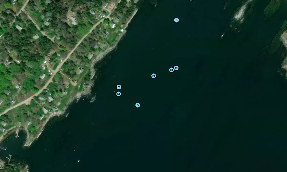 Satelite image of Cliff Island South
