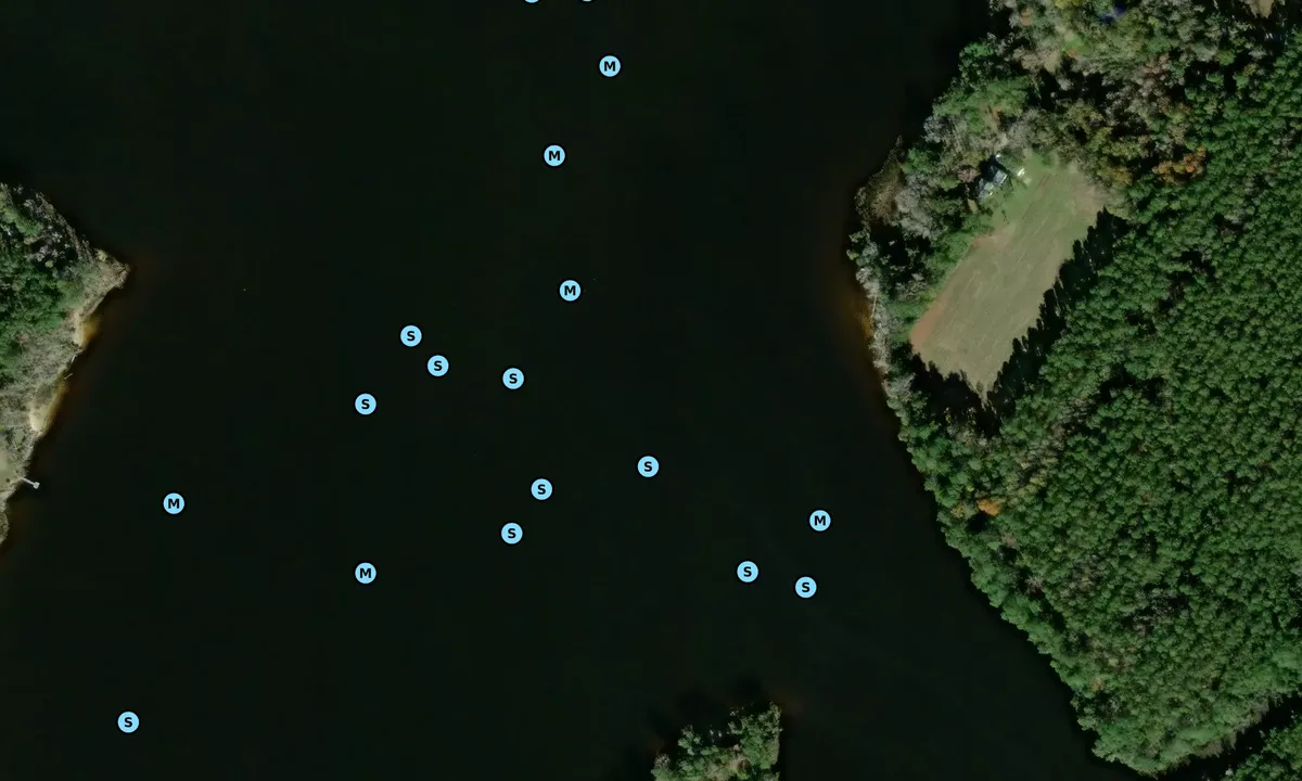 Satelite image of Clubfoot Creek