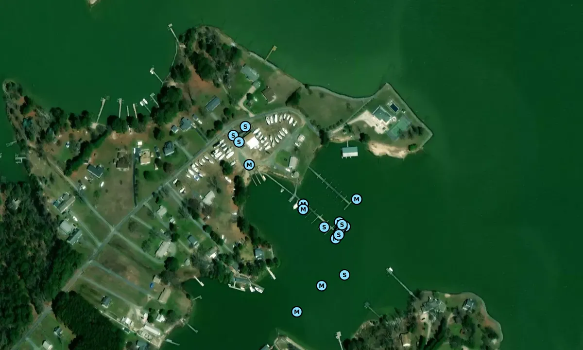 Satelite image of Coan River Marina