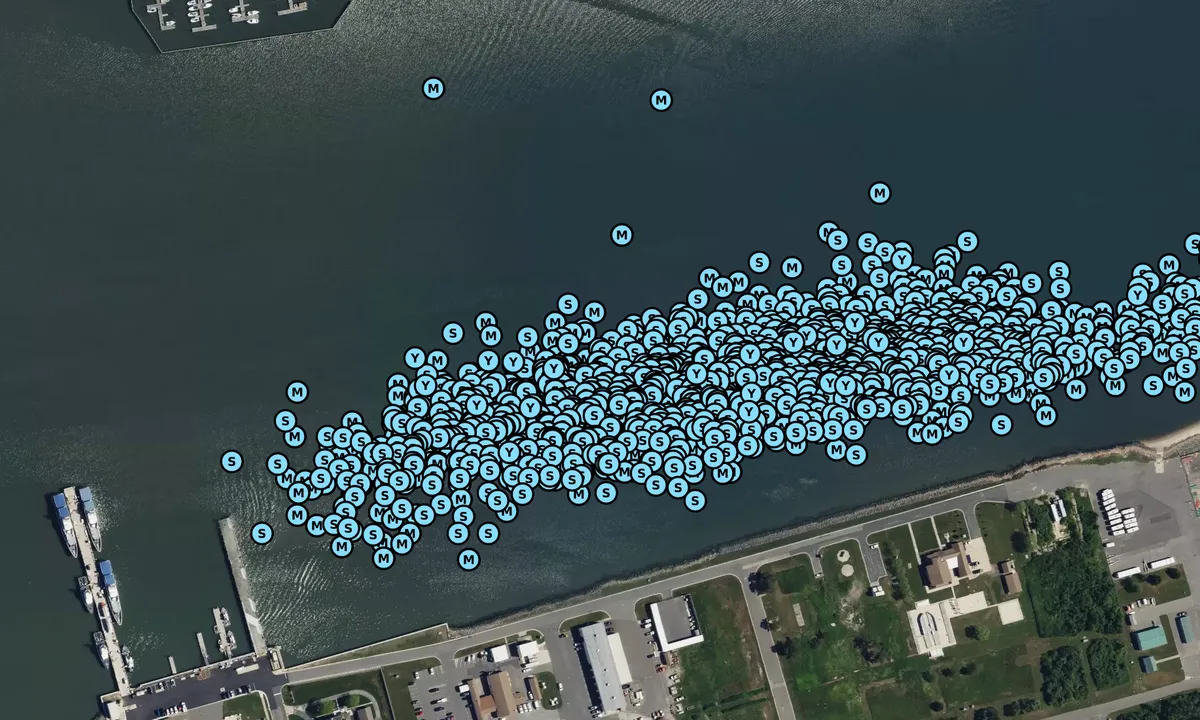 Satelite image of Coast Guard - 1