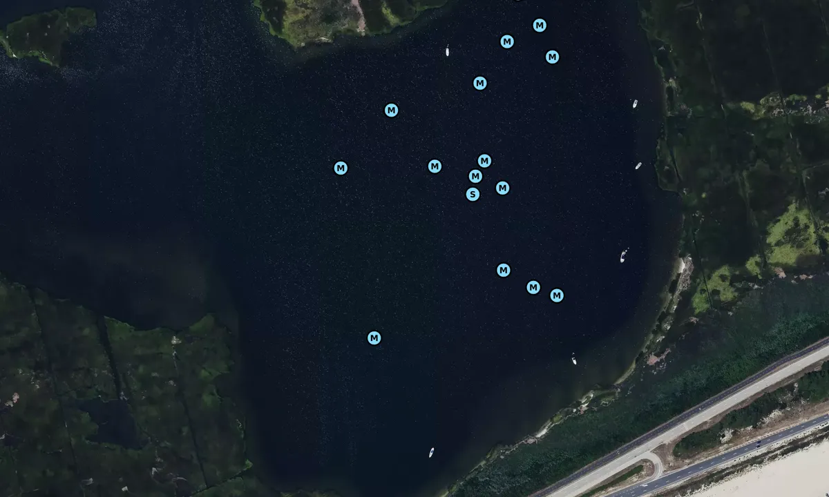Satelite image of Coast Guard Cove