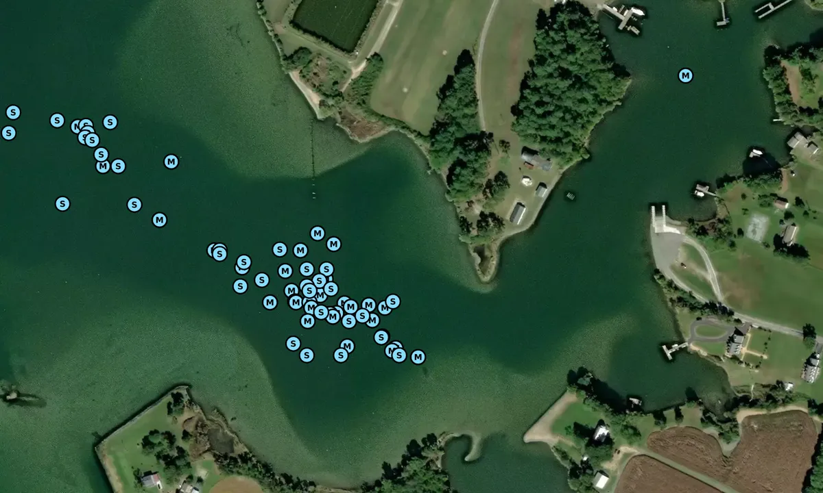 Satelite image of Cockrell Creek East