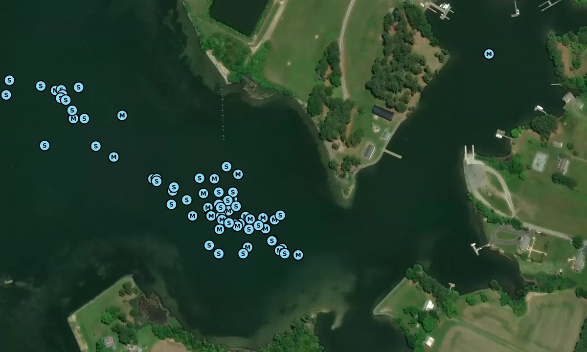 Satelite image of Cockrell Creek East