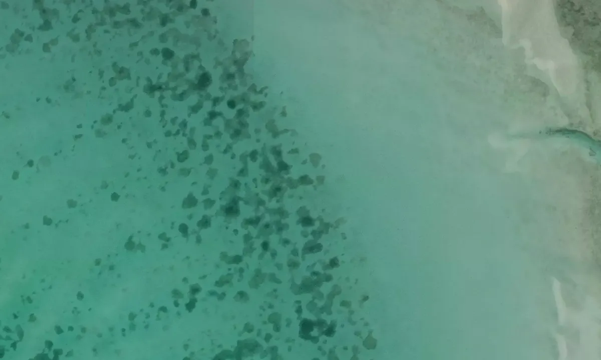 Satelite image of Cockroach Cay