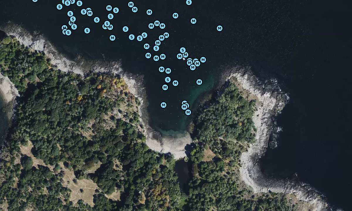 Satelite image of Cocktail Cove - Beverly