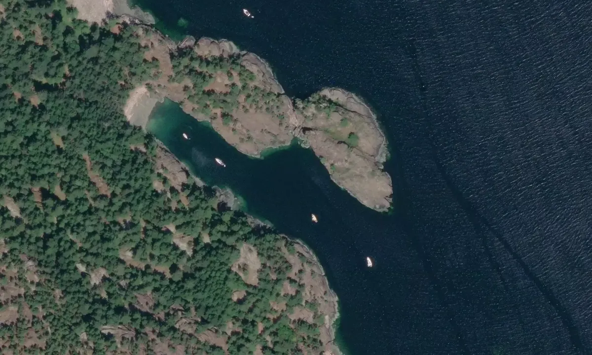 Flyfoto av Codfish Bay