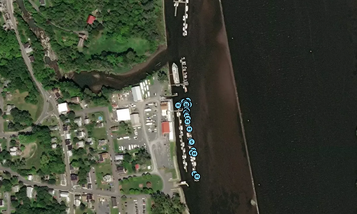 Satelite image of Coeymans Landing Marina