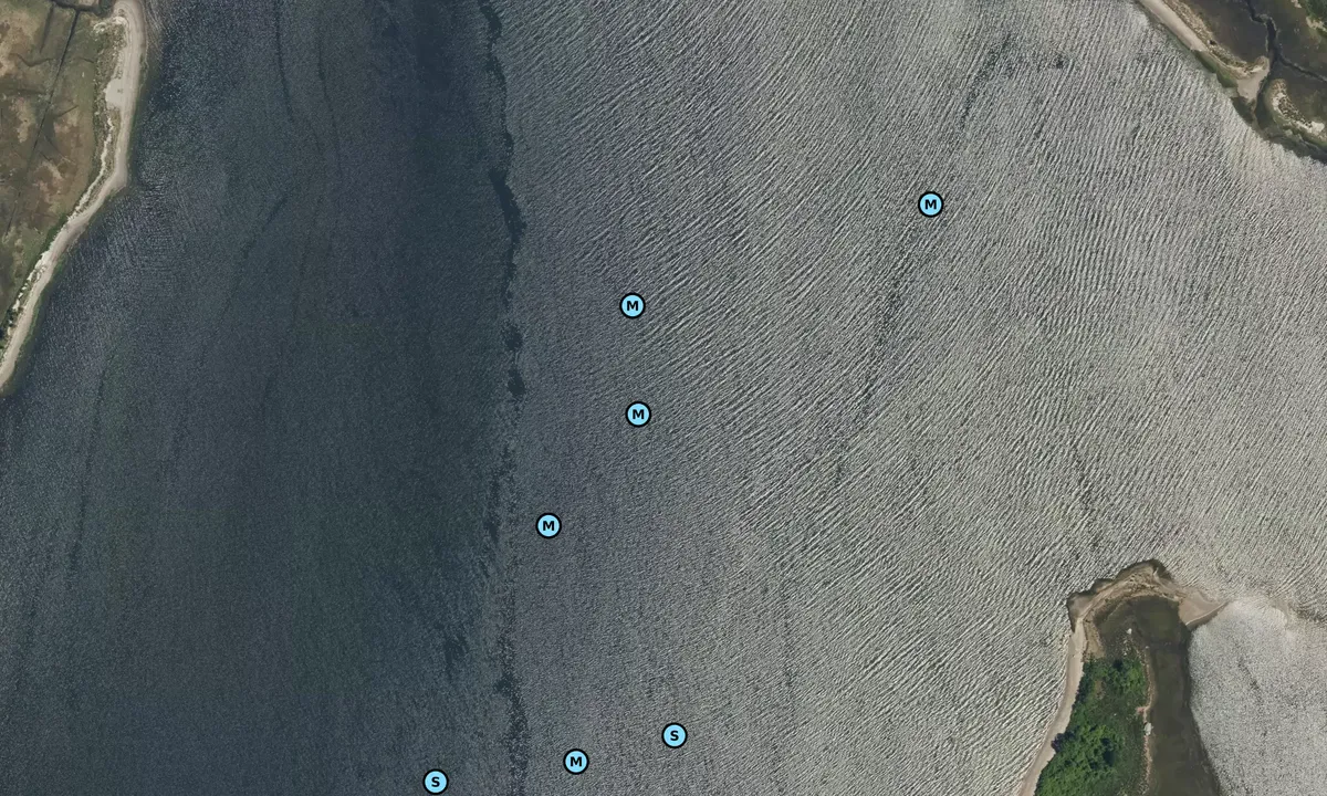 Satelite image of Coggshall Cove