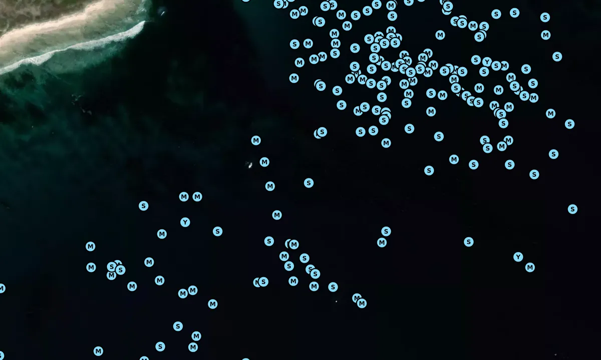 Satelite image of Cojo