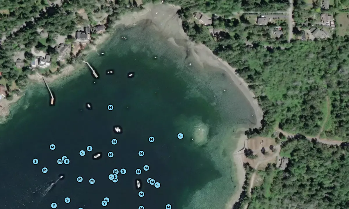 Satelite image of Coles Bay