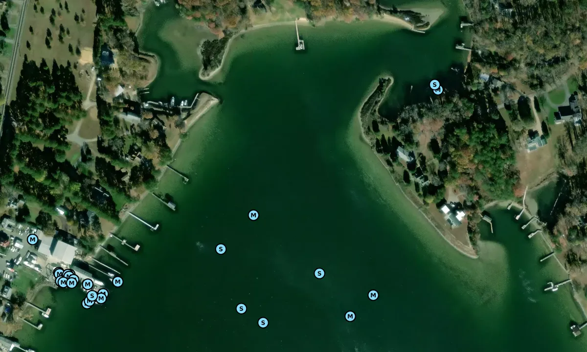 Satelite image of Coles Creek
