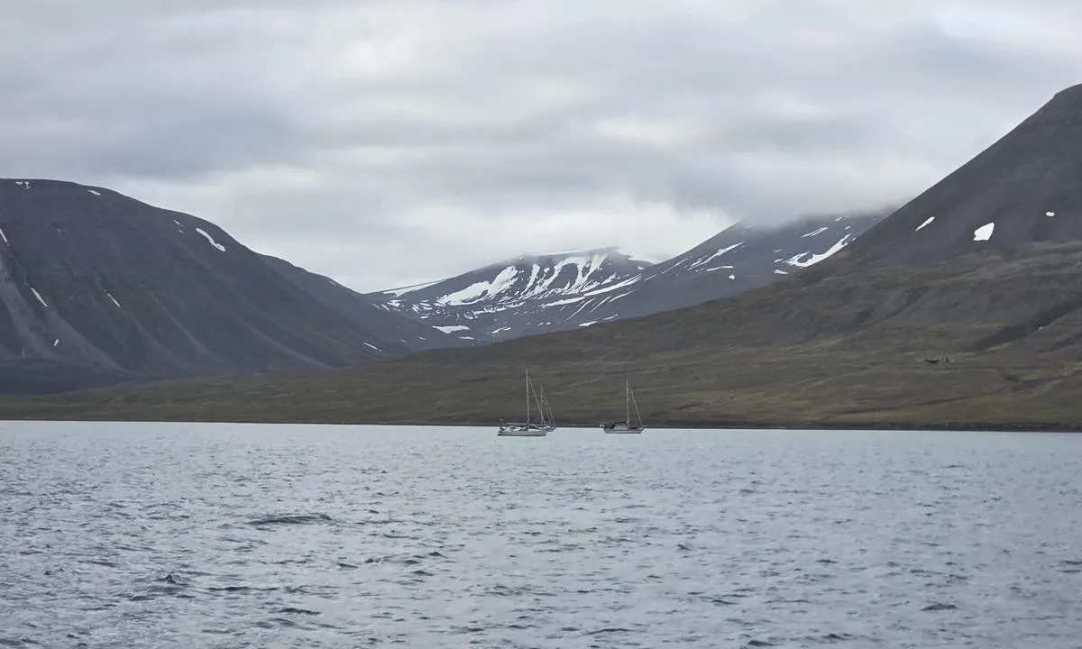 Colesbukta: Båter som ligger for anker på elvegrus ved den vestre siden av bukta ved Eriksonodden.