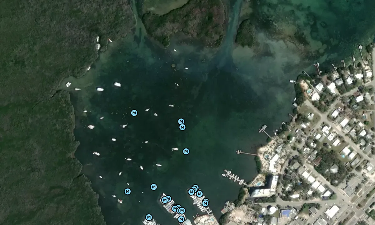 Satelite image of Community Harbor