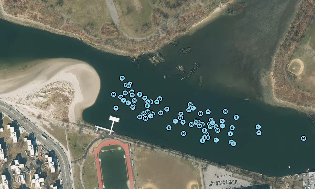 Satelite image of Coney Island Creek