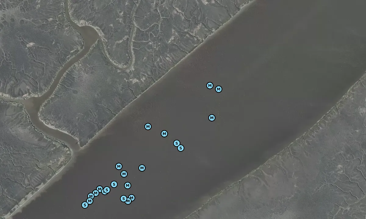 Satelite image of Cooper River