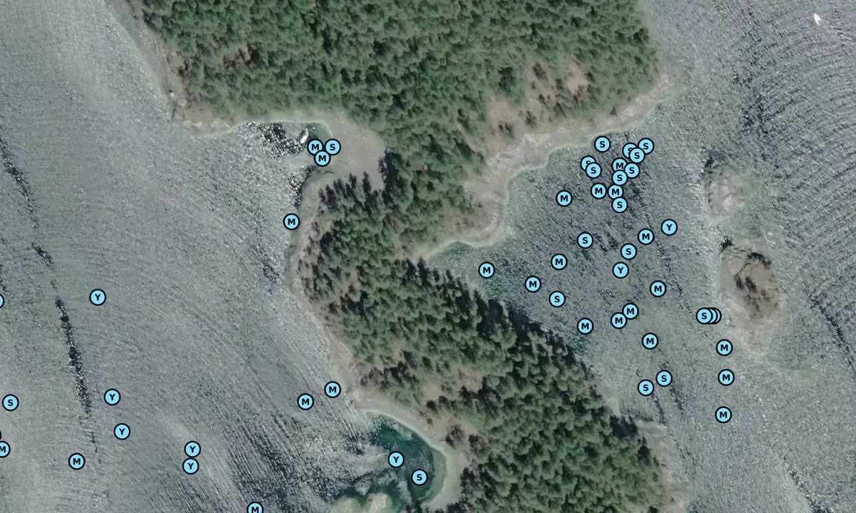 Satelite image of Copeland Islands Marine Park