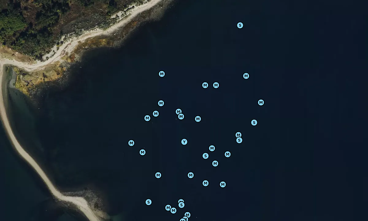 Satelite image of Copps Harbor