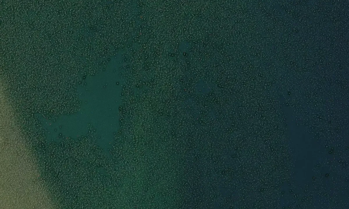 Satelite image of Corbeil Point