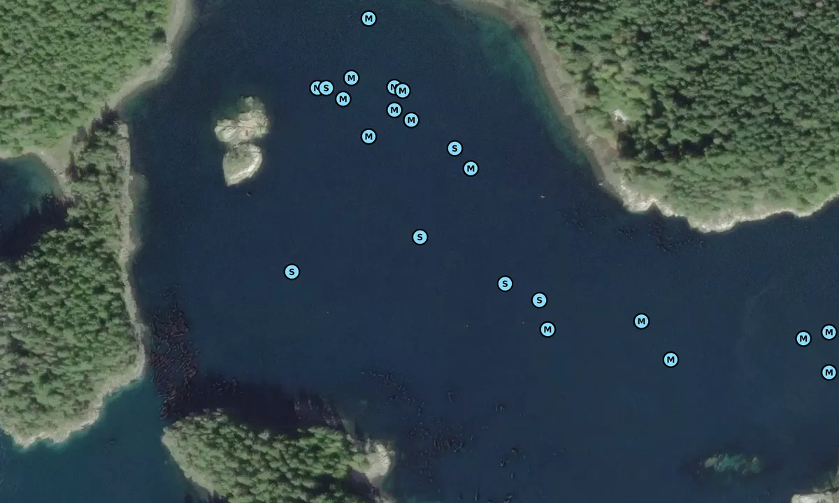 Satelite image of Cordero Islands