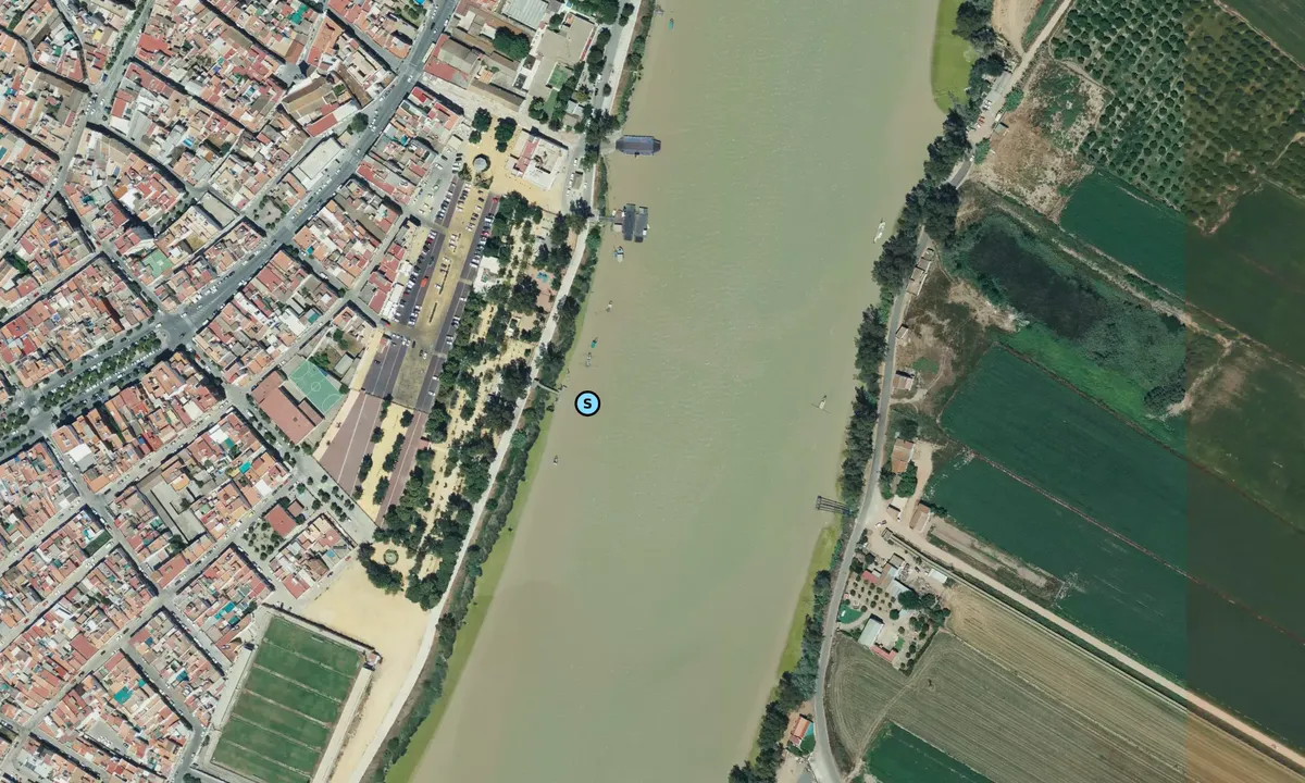 Satelite image of Coria del Río