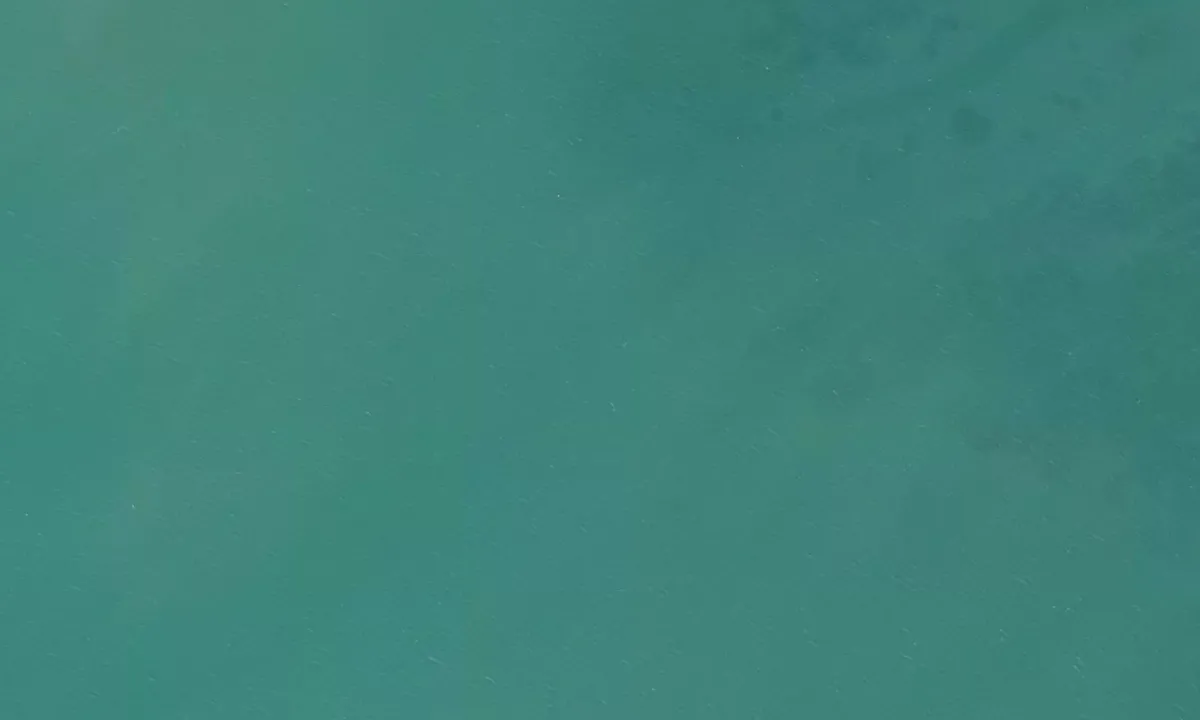 Satelite image of Coromandel Township