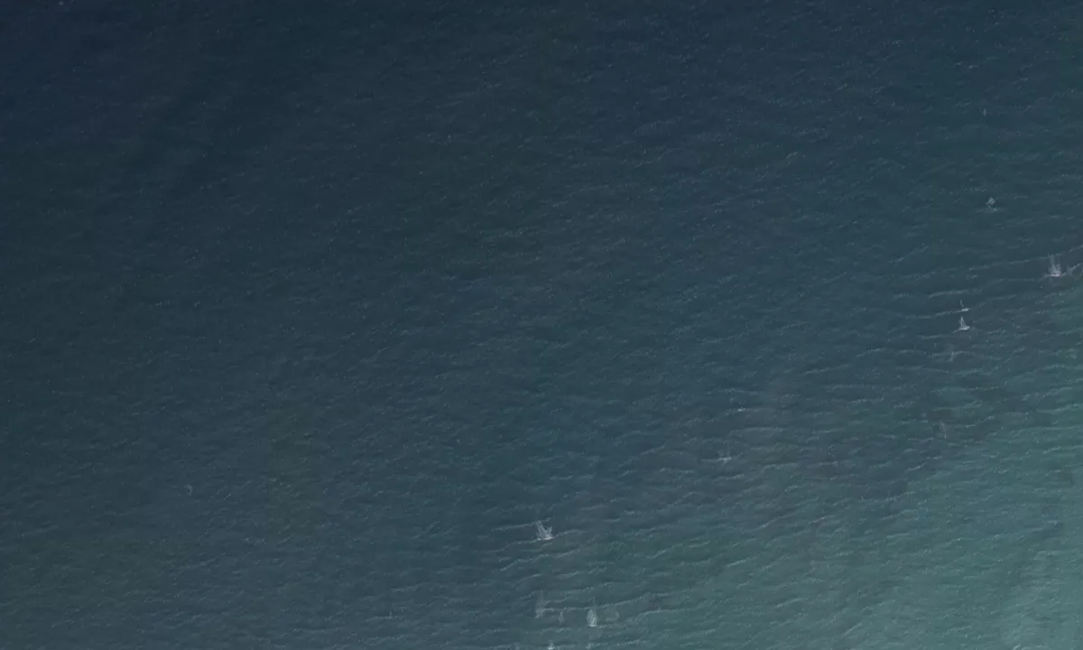 Flyfoto av Cottrell Key