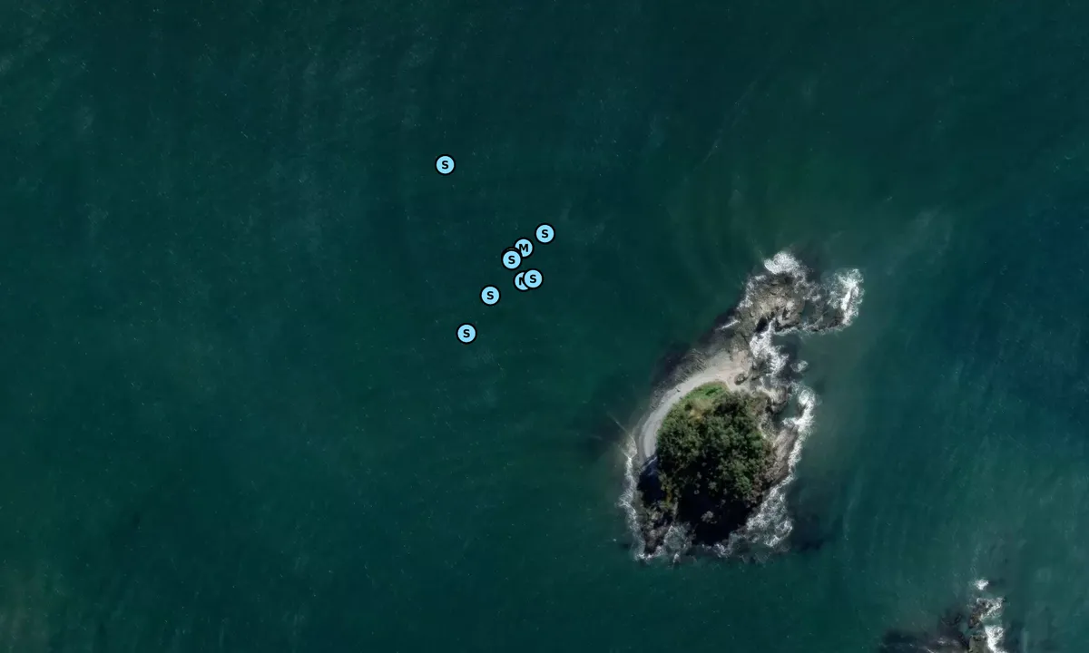 Satelite image of Courtesy Mooring (Pink)