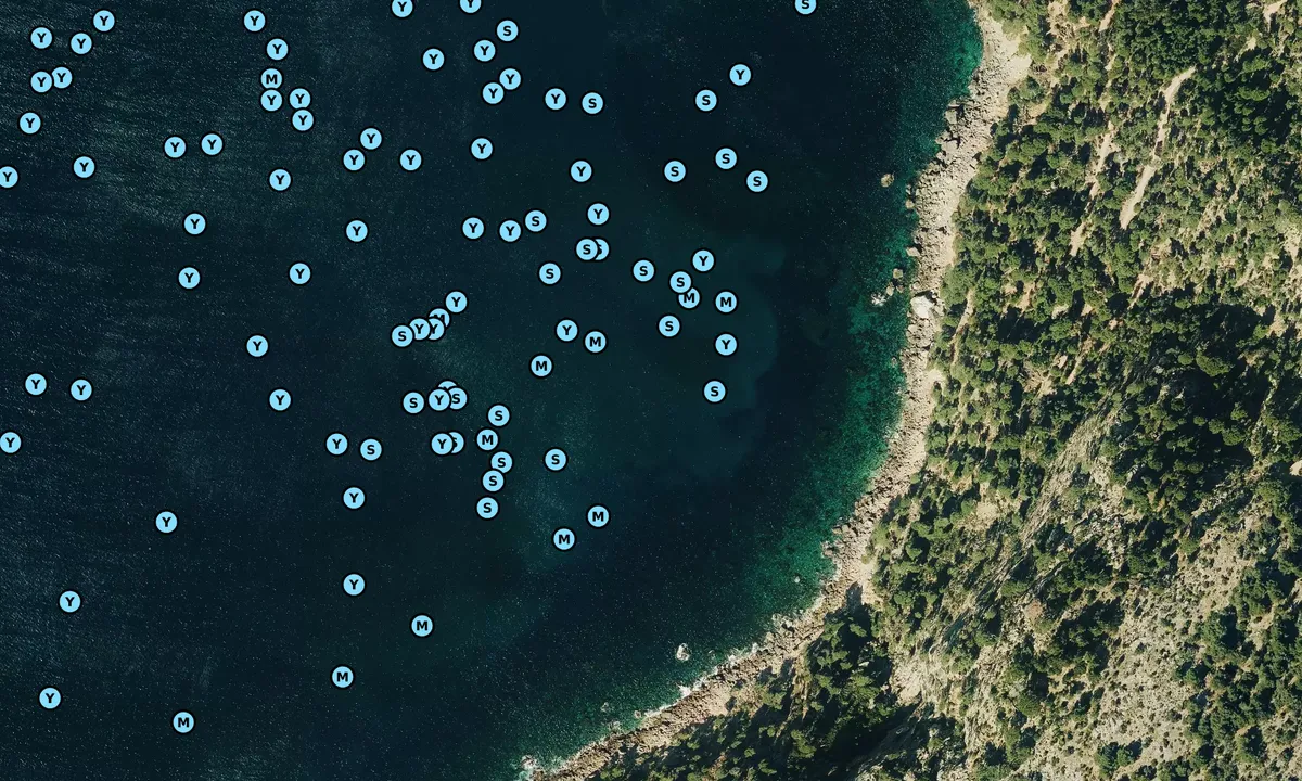 Satelite image of Cova De Sa Sal